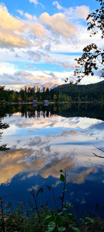 Ferienwohnungen Bergpanorama บัดมิทแทร์นดอร์ฟ ภายนอก รูปภาพ