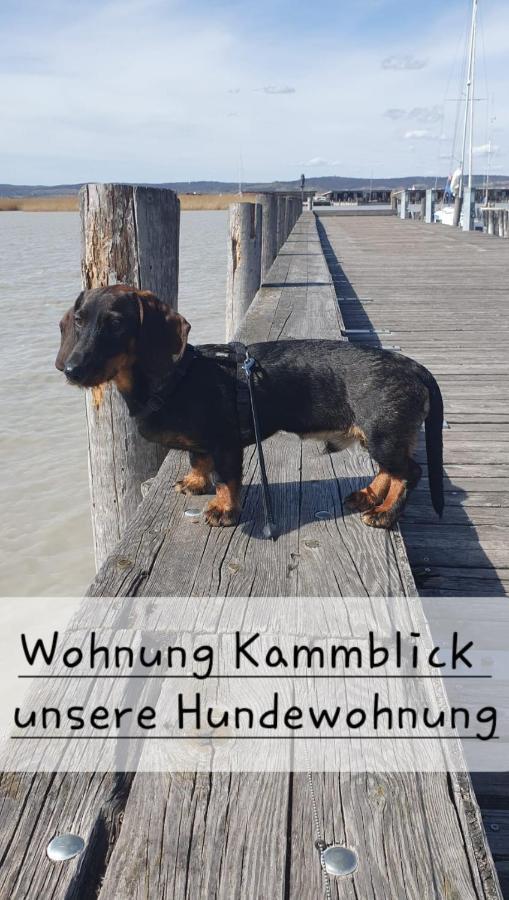 Ferienwohnungen Bergpanorama บัดมิทแทร์นดอร์ฟ ภายนอก รูปภาพ